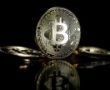 Bitcoin Yatırımcıları Halving Hazırlıklarına Başlıyor