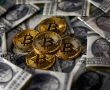 BCH Hash savaşları yüzünden Bitcoin kan kaybetmeye devam ediyor