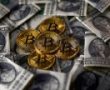 “2020 Halving Etkinliğinden Sonra Bitcoin 55.000 Doları Görecek”