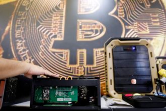 Kripto Sakin; Merkez Bankası’nın Çıkardığı Para Mali İstikrarsızlığa Yol Açabilir
