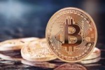 Roger Ver: Herkes Yoluna Bakmalı!