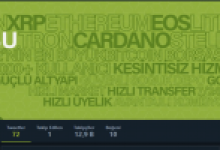 Önde Gelen Türk Kripto Borsasından Holochain Hamlesi