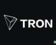 BitTorrent Eski Yöneticisi: TRON’un Bu İşi Yürütecek Kapasitesi Yok