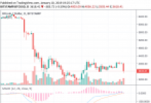 Dev Şirketin CEO’sundan Bitcoin Yorumu