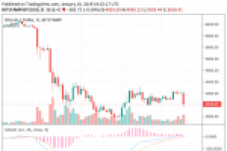 Dev Şirketin CEO’sundan Bitcoin Yorumu