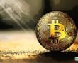 Vinny Lingham: Bitcoin Tekrar 20.000 Dolar Olacak ve Sonra 100 Dolara Düşecek