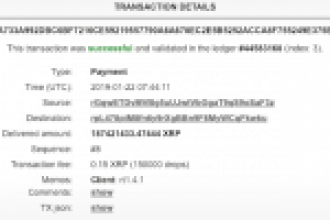 Ripple Balinaları 60 Milyon Dolarlık XRP’yi 0,047 Dolara Transfer Etti!