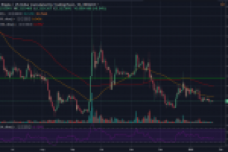 Ripple 2019 Fiyat Analizi: 1 Dolar Öncesi Kritik Direnç Seviyeleri