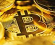 200 Milyar Dolar Yöneten Firmanın CEO’su: Bitcoin 5.000 Dolara Çıkarak Kolay Bir Yüzde 25 Getiri Sağlayabilir