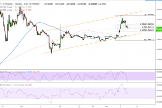 Ripple (XRP) piyasa düzeltmesinde en iyi performans gösteren Altcoin oldu