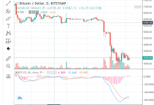 Finans Profesörü: Bitcoin ölüm spiraline girdi