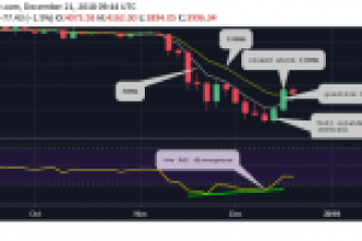 Bu İndikatöre Göre Bitcoin Boğaları Geri Döndü: Sıradaki Önemli Seviyeler