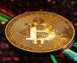 CoinCenter Araştırma Müdürü: Bitcoin Aracı Rolünü Ortadan Kaldırıp, Çeşitliliği Garanti Ediyor