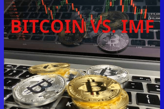 IMF’nin Son Raporu: Bitcoin Devrimi Kaçınılmaz!