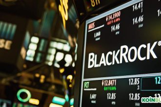 BlackRock CEO’su Larry Fink, Varisi Olarak Kripto Para Karşıtı Mark Wiedman’ı Atadı!