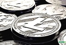 Litecoin Foundation’dan İlginç Sponsorluk: Bir Kripto Firması İlk Defa UFC Dövüş Etkinliğini Destekleyecek