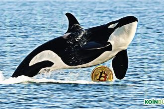 Bitcoin Balinaları 1 Gecede 1 Milyar Doların Üzerinde Bitcoin İşlemi Yaptı – Yapan Belli Mi?