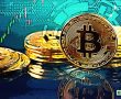 Uzman Görüşü: Bitcoin, Volatil Zamanlarda Yanlış Bir Sığınak Olur