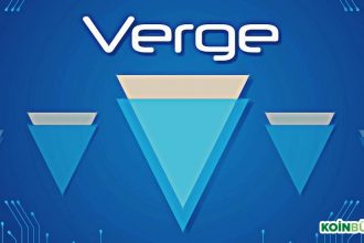 Verge (XVG) Kurucusu, Platformun Hikayesini Anlattı