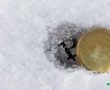 Bitcoin’in 2019 Yılında Beklediği Gelişmeler Neler? – Kripto Para Kışını Atlatmak Mümkün Mü?
