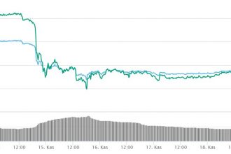 Forbes yazarına göre Bitcoin ve diğer kripto paralar cehennemi görebilir