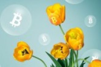 Rapor: 2019’da Kazanan Bitcoin Olacak! Neden Mi?