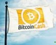 Bitcoin Cash – Bitcoin SV Hash Savaşları, 18 Milyon Dolara Patladı!