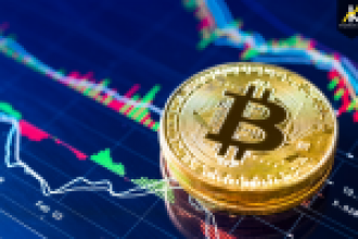 Bitcoin ve Kripto Paralarınızı En İyi Nasıl Koruyabilirsiniz?