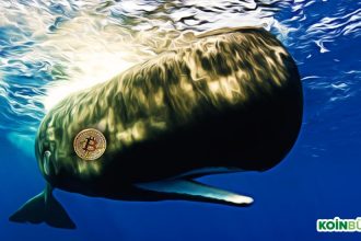 Bitcoin Balinalarının Son 2 Aylık Hareketleri ‘Şüphe’ Uyandırıyor!