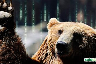 Resmileşti: Bitcoin’de Tarihin En Büyük Ayı Piyasası Yaşanıyor, Bundan Sonra Ne Olacak?
