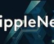 Ripple Girişimlere Devam Ediyor –  10 Yeni Üniversite ile Ortaklık İmzalandı!