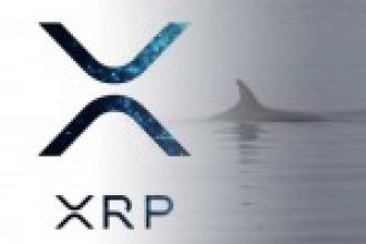 Dev Ripple Balinası Uyandı: 1 Milyar XRP Tokeni Hareket Etti!