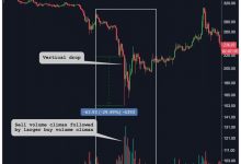 Bitcoin 2015’te bundan daha kötüsünü yaşadı ya sonra?