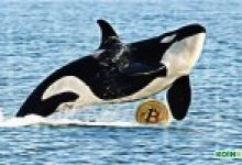 Araştırma: Bitcoin Adreslerinin Yüzde 1’inden Daha Azı, BTC Arzının Yüzde 87’sini Kontrol Ediyor!
