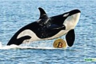 Araştırma: Bitcoin Adreslerinin Yüzde 1’inden Daha Azı, BTC Arzının Yüzde 87’sini Kontrol Ediyor!