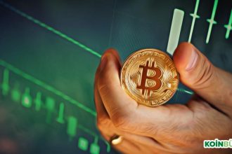 Araştırma: Kripto Paraları Shortlamak Artık Hiç Olmadığı Kadar Zorlaştı