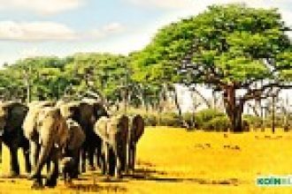 Blockchain Solutions Yöneticisi: Kripto Paralar Afrika Ekonomisini Kalkındırabilir