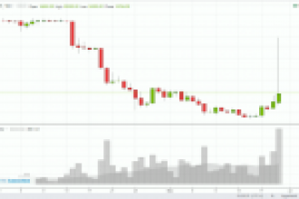 Bitcoin Balinaları Harekette: BtcTurk’te Bitcoin 31.900 TL’yi Test Etti!