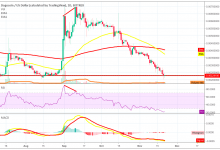 Dogecoin kritik destek seviyesine dayandı – Alım için uygun zaman mı?