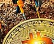 Fas’ta Rüzgar Enerjili Mega Bitcoin Madencilik Tesisi Açılıyor!