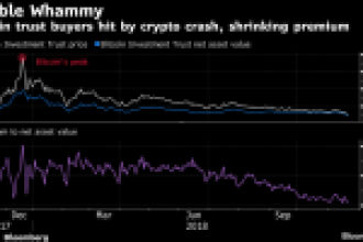 Bu Trader şirketi Bitcoin yatırımlarına % 100 prim ödedi