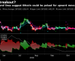 Bloomberg: Bitcoin boğaları yıl sonuna kadar kontrolü tamamen ele geçirebilir