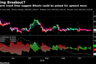 Bloomberg: Bitcoin boğaları yıl sonuna kadar kontrolü tamamen ele geçirebilir