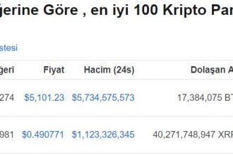 Ünlü Analiste göre Ripple’ın piyasa değeri Bitcoin’i geçebilir