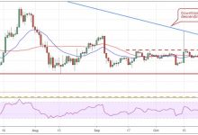 20 Kasım Bitcoin, Ethereum ve Ripple fiyat analizi