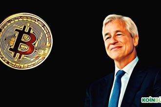 Ünlü CEO Bitcoin’in Fiyat Düşüşünü Bilse de, Bunu ‘Kutlamıyor’