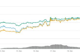 Ayı piyasasının izlerini tamamen silen önemli 2 altcoin!