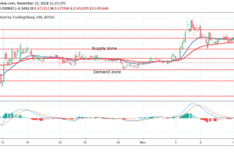 15 Kasım Ripple Teknik Analizi; Destek ve Direnç Noktaları