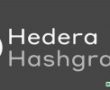 118 Milyon Dolarlık Yatırım Alan Hedera Hashgraph, Ana Ağın Test Aşamasına Geçiş Yaptı