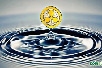 Ripple CTO’su David Schwartz, Ripple İsminin Kökenini Açıkladı